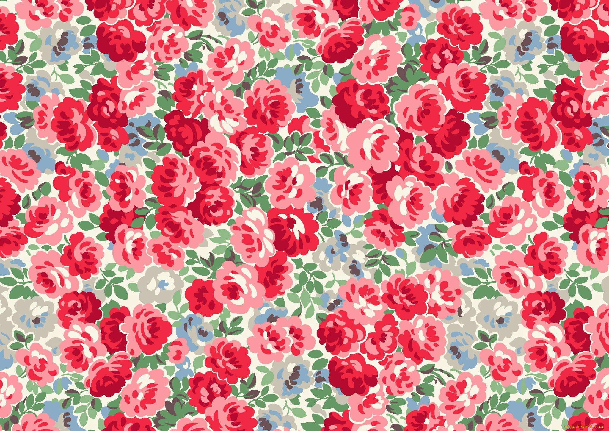 ,  , flowers, , 